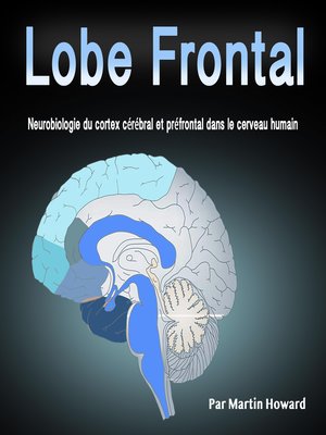 cover image of Lobe Frontal